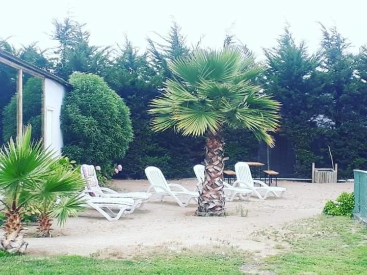 Hotel Del Valle Quilimari Pichidangui Kültér fotó