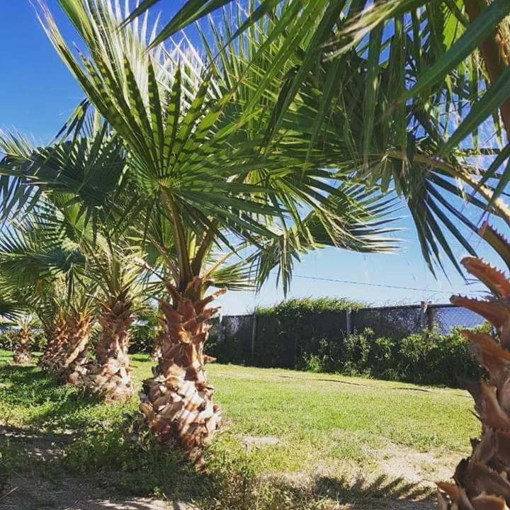 Hotel Del Valle Quilimari Pichidangui Kültér fotó